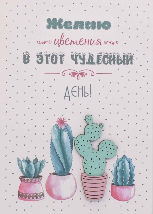 Открытка Simple Cards Кактусы