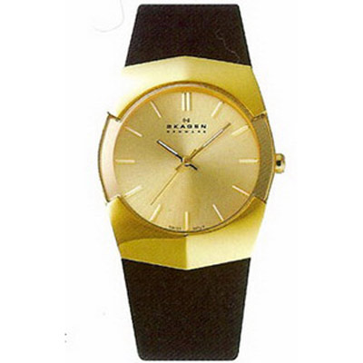 Мужские наручные часы Skagen Leather