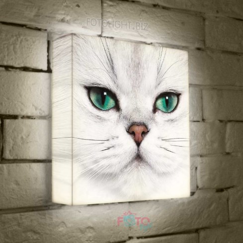 Лайтбокс Кошка