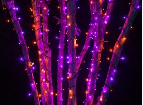Светодиодная гирлянда Rich Led RL-T3*20N-B/ARGB