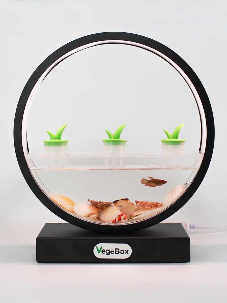 Домашняя ферма VegeBox F-BOX черная