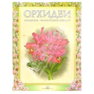 Орхидеи.