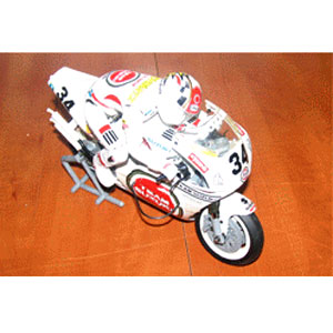 SUZUKI RGV