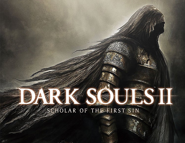DARK SOULS II: Scholar of the First Sin электронный ключ PC