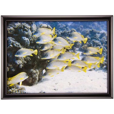 Поднос на подушке Sea World