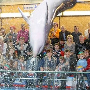 Театральное шоу от морских обитателей (взрослый и 2 ребенка)