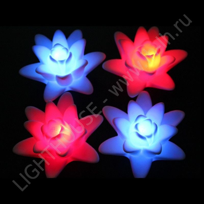 Светящейся LED цветок Nansi RGB Accum