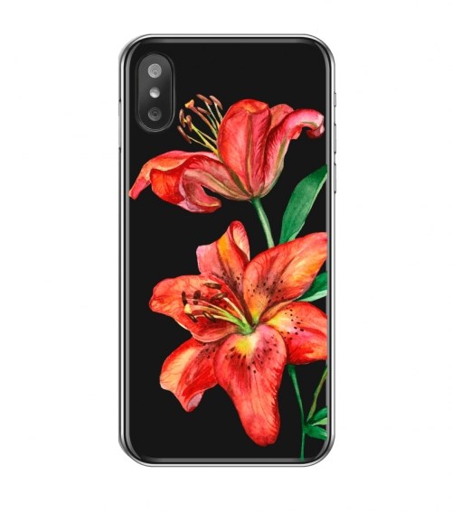 Чехол для iPhone Spring #5