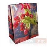 Подарочный пакет для женщин (средний)