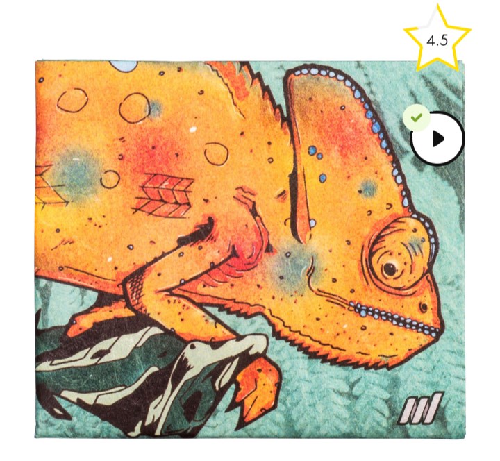Кошелек New wallet New Chameleon