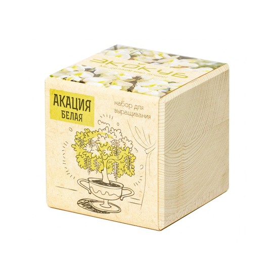 Набор для выращивания Акация (Ecocube)