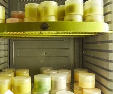 SPA «Тишина востока»