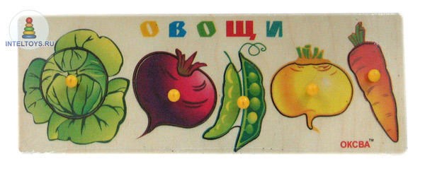 Рамки и вкладыши Овощи