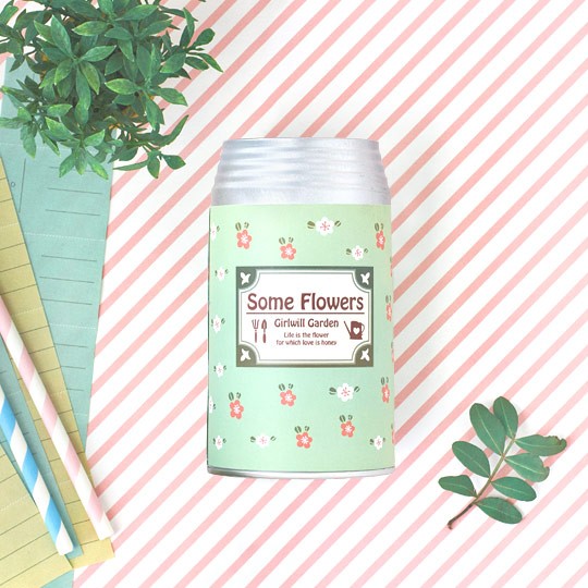 Some flowers набор для выращивания 38