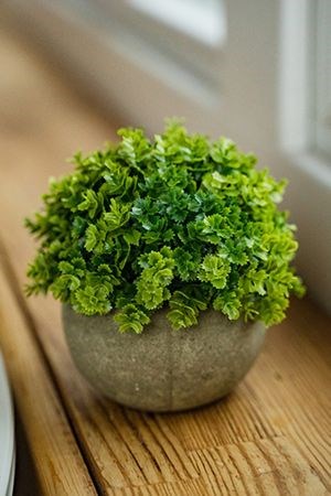 Искусственное растение в горшке BUSH BALL, пластик, 12х13 см