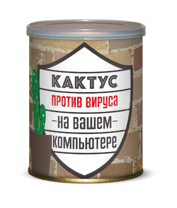 Набор для выращивания Кактус против вируса на компьютере