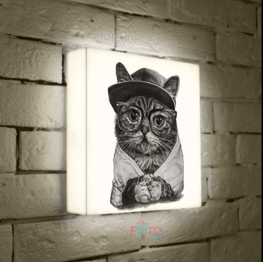 Лайтбокс Кот в очках