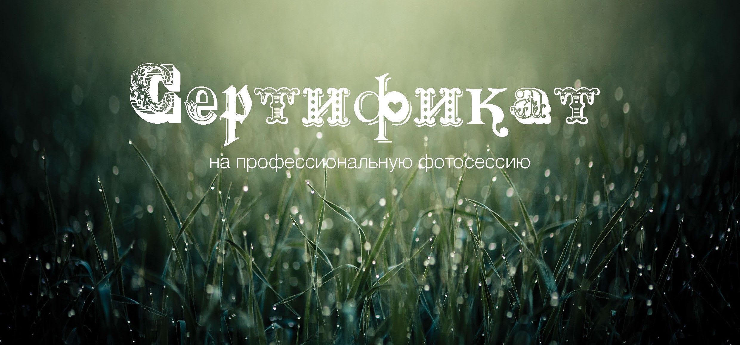 Сертификат на фотосессии в Павловске