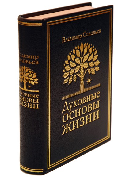 Книга Духовные основы жизни (В. Соловьев)