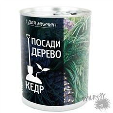 Набор для выращивания «Посади дерево. Кедр»