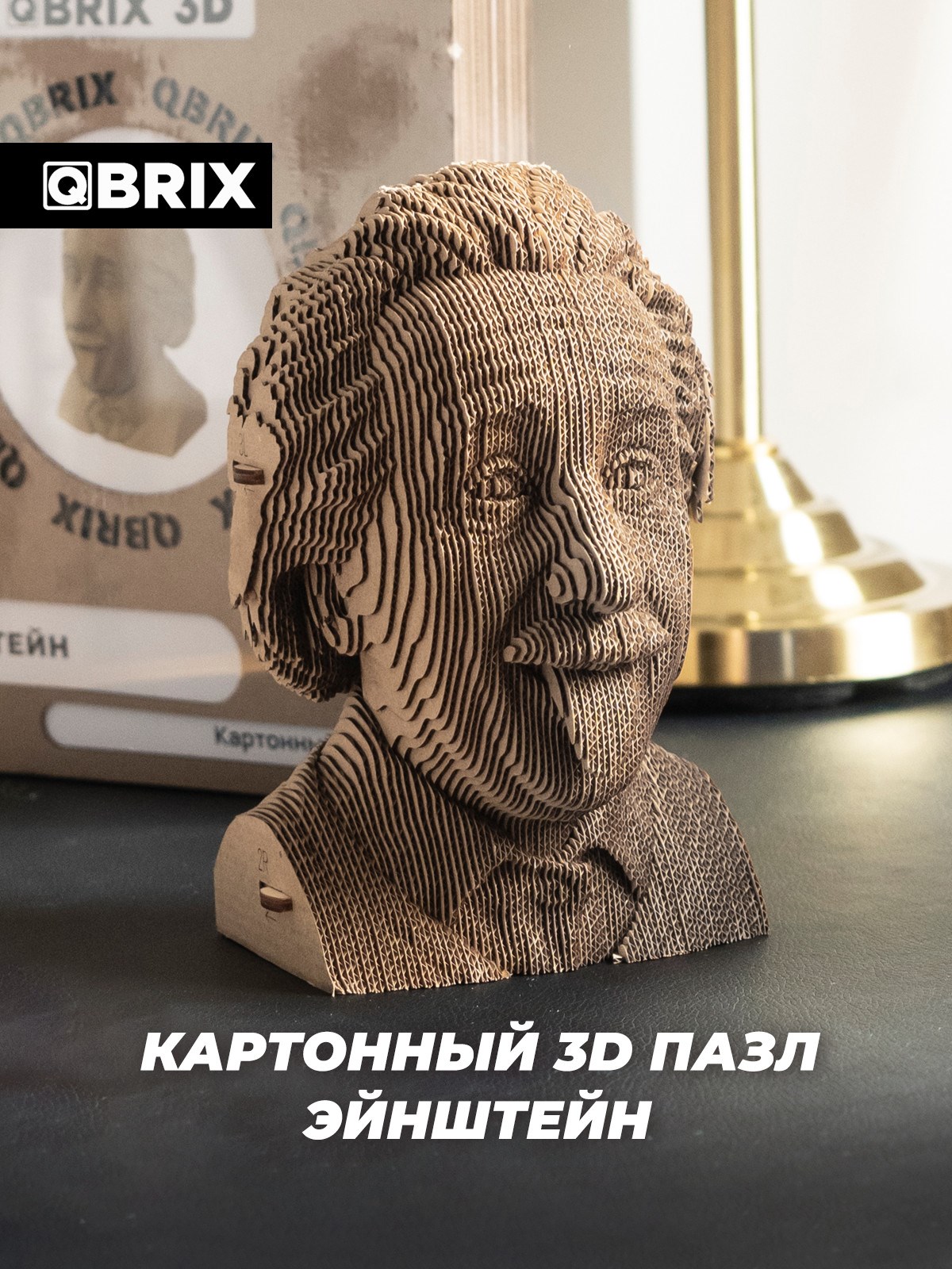 Картонный 3D конструктор QBRIX Эйнштейн