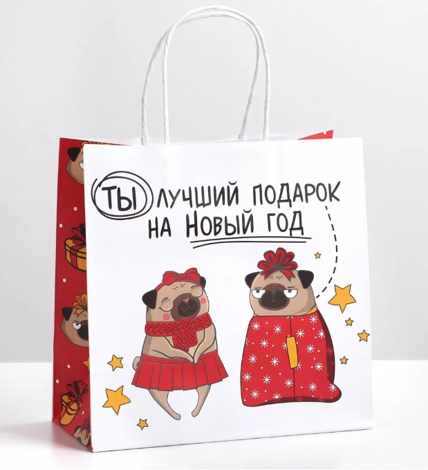 Подарочный пакет Ты - лучший подарок (22*22*11 см)