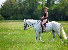 Подарочный сертификат «Верховая езда для двоих»