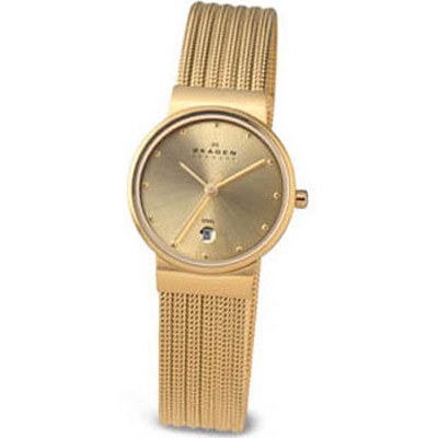 Женские наручные часы Skagen Steel
