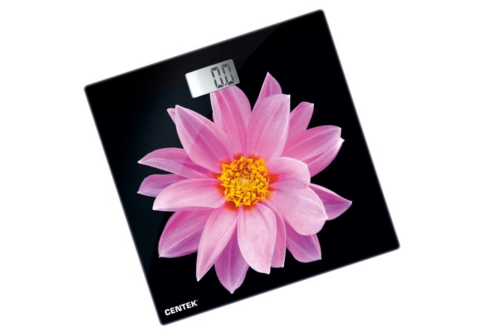 Напольные весы Centek CT-2416 Pink Flower