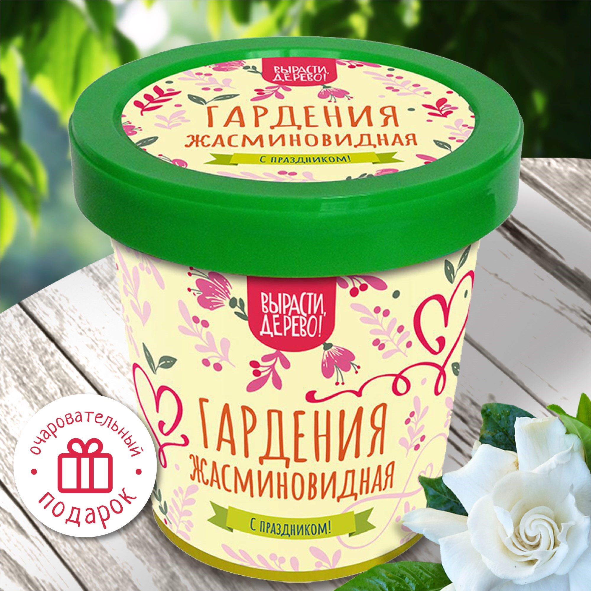 Набор для выращивания в банке «Гардения жасминовидная»