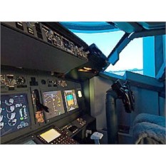 Подарочный сертификат Полет на авиасимуляторе для двоих