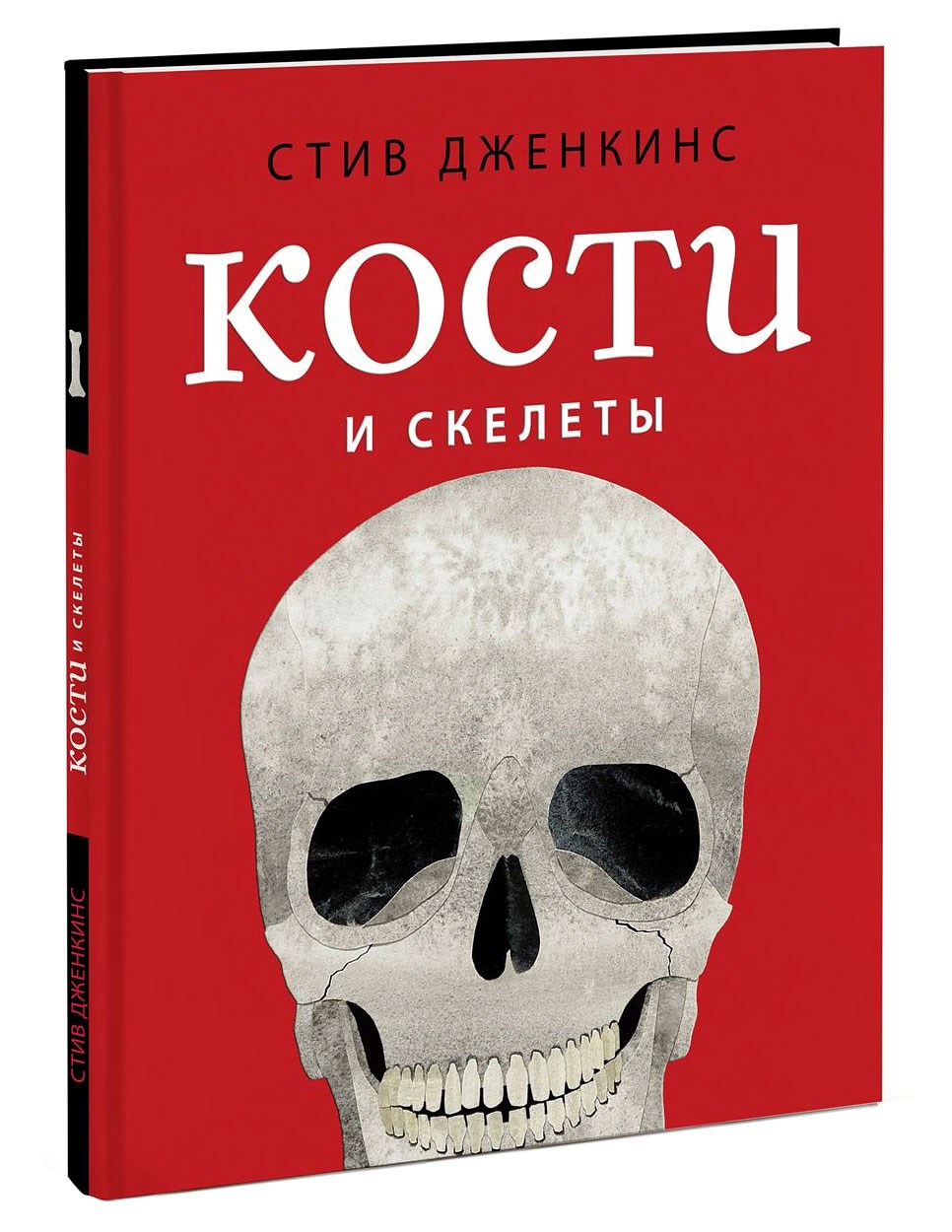 Книга-игра «Кости и скелеты»: лучшая цена и магазины, где купить