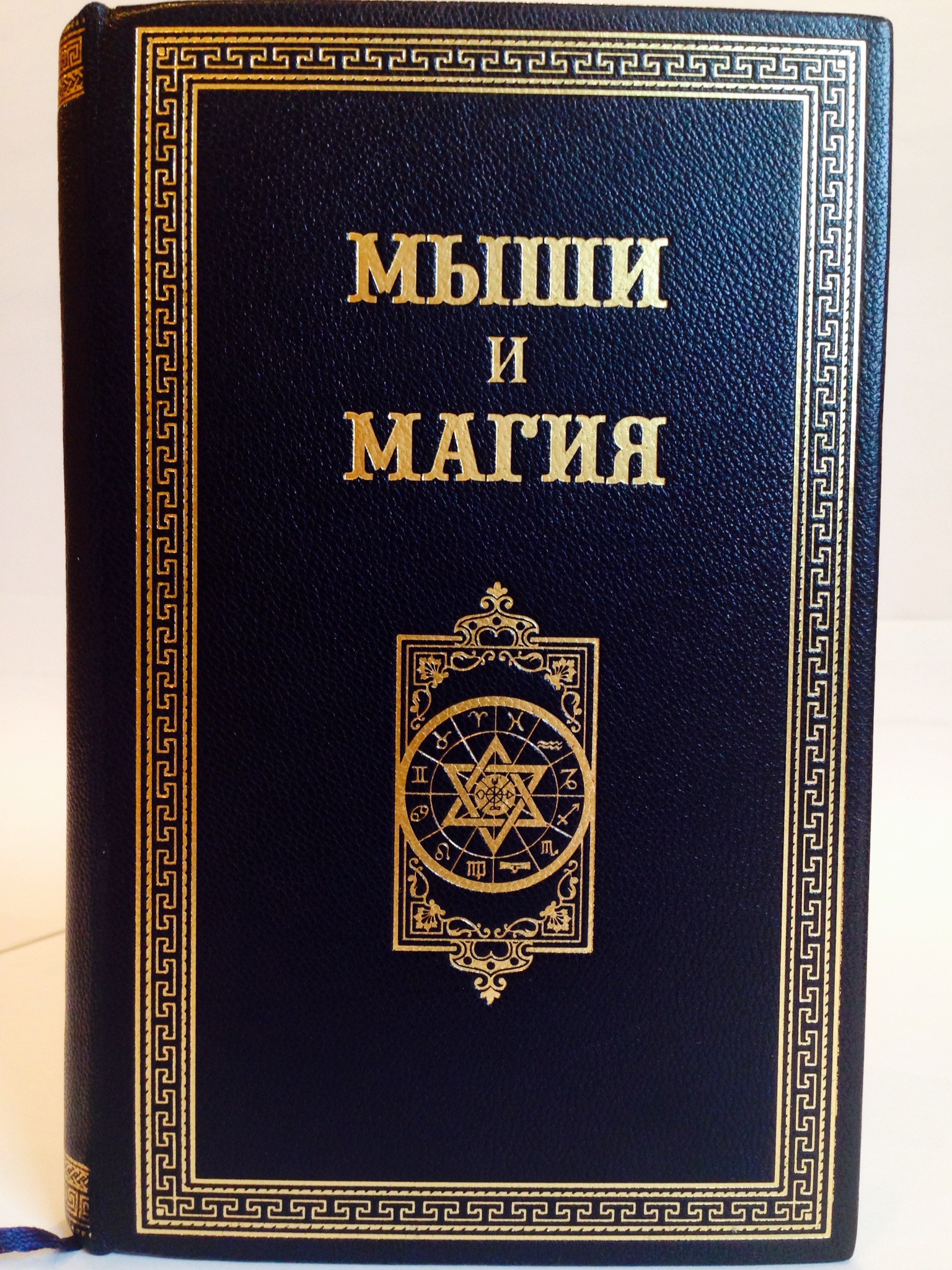 Книга Мыши и магия (Д. Фарланд)