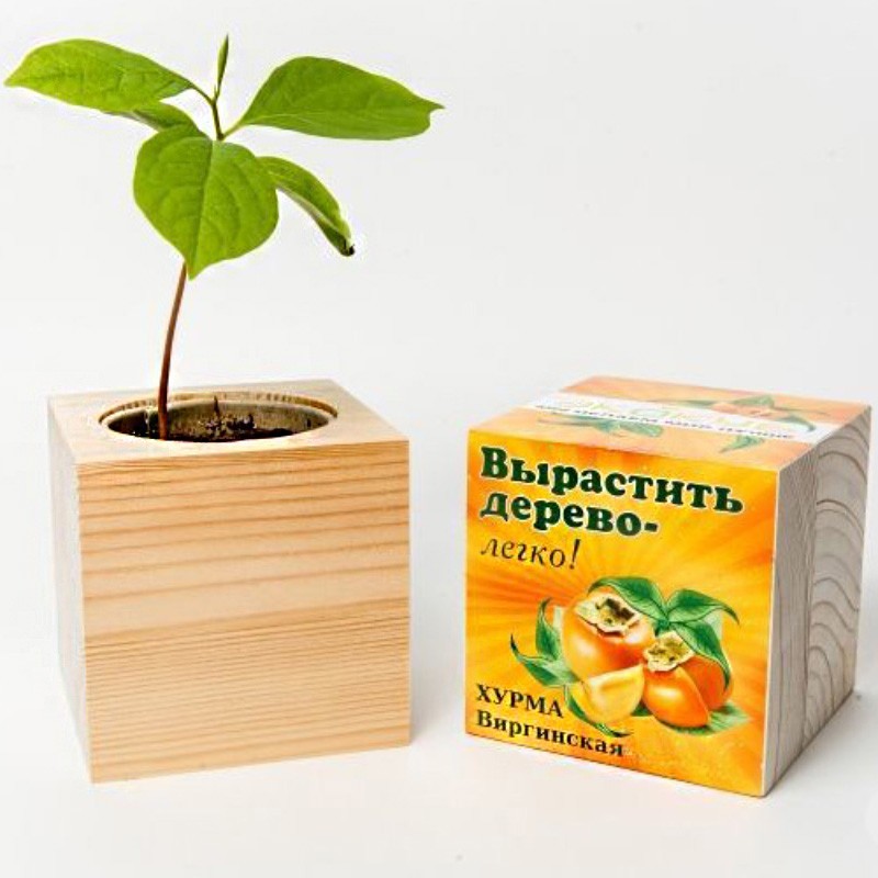 Эко куб в ассортименте