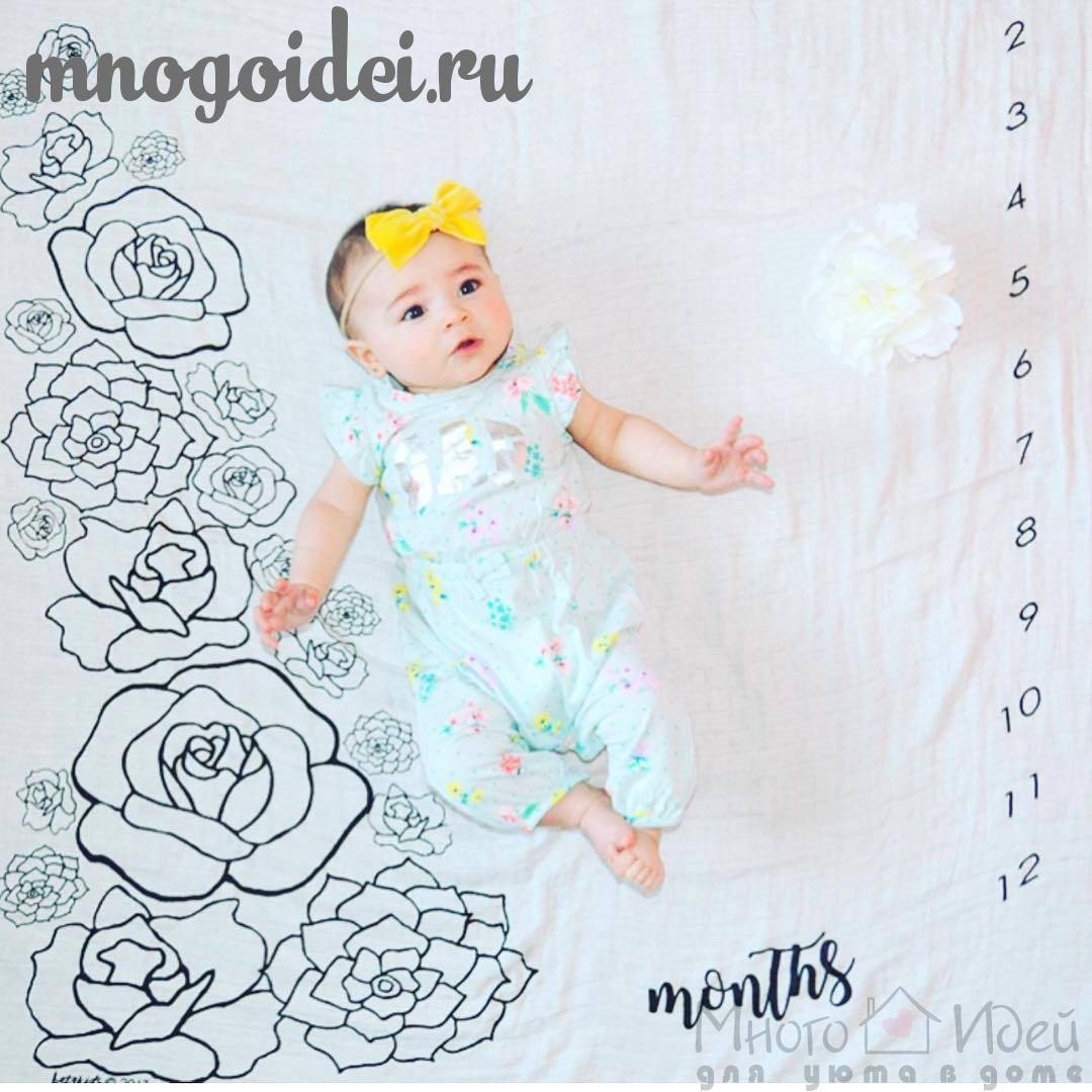 Фотофон Сад из роз