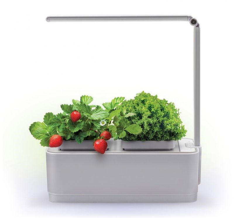 Смарт-сад с подсветкой iGarden LED