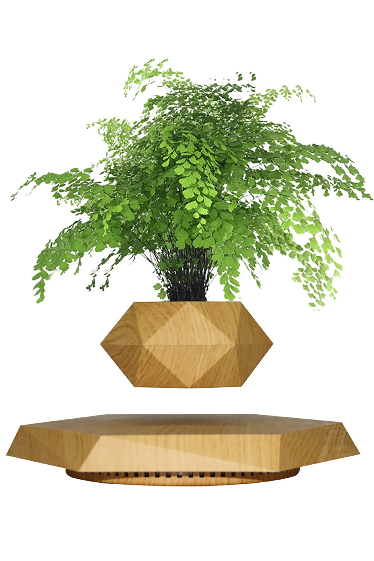Левитирующий горшок Wood на платформе