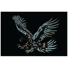 Картина Swarovski «Орёл» 