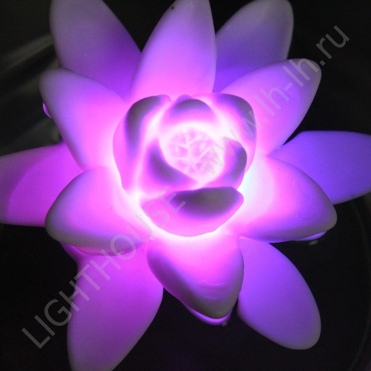 Светящейся LED цветок Nim RGB Accum