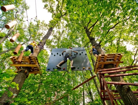 Подарочный сертификат Веревочный парк