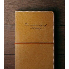 Ежедневник Recording diary