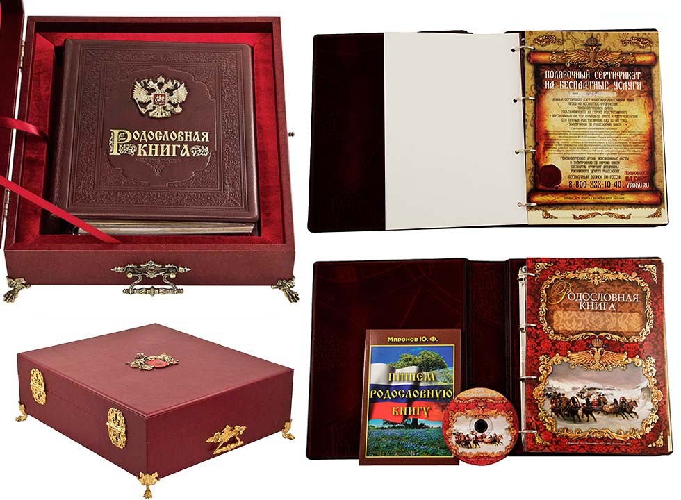 Родословная книга Гербовая в ларце
