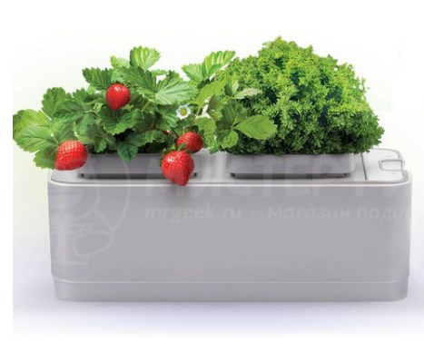 Умный сад для выращивания растений iGarden