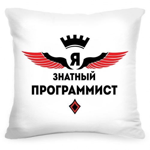 Подушка «Знатный программист»