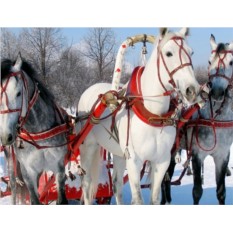 Подарочный сертификат Катание на русской тройке
