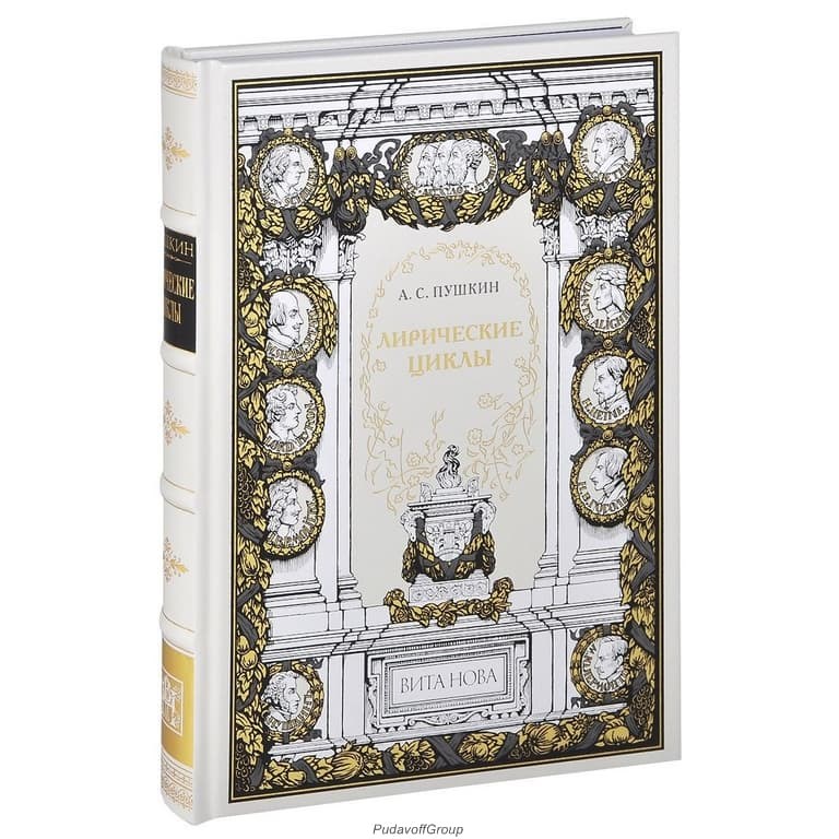 Книга Александр Пушкин. Лирические циклы