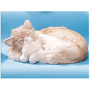 Модель «Кошка»