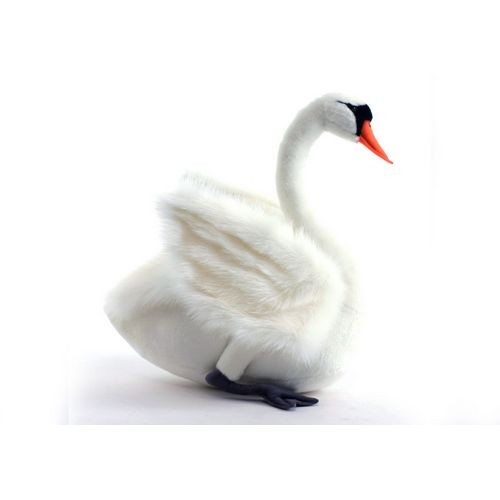 Лебедь Белый Фото И Описание
