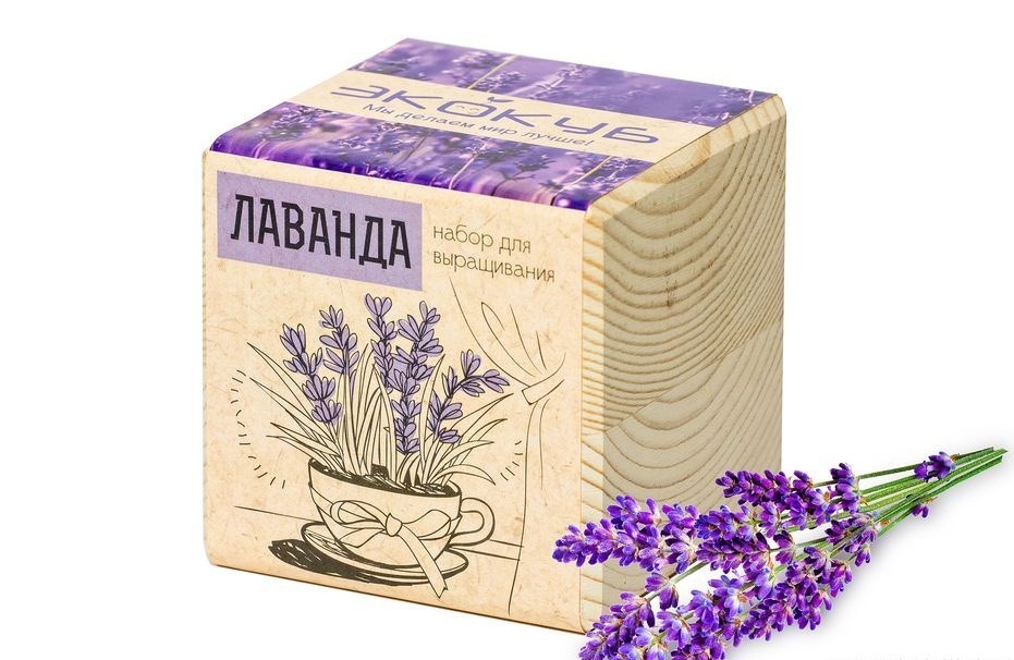 Набор для выращивания «Экокуб. Лаванда»