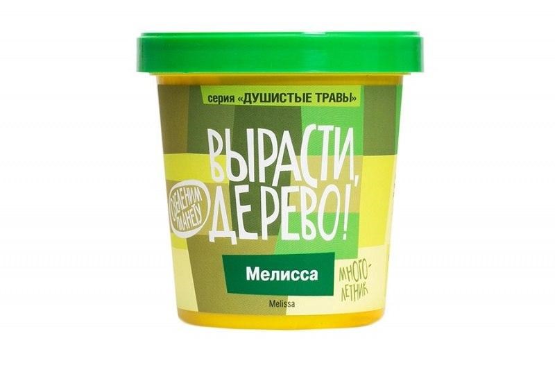 Набор Вырасти, Дерево! Мелисса